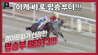 [경마 명승부]치열한 승부의 결과는!?