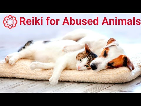 Reiki for Abused Animals 💮