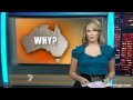 Samantha Armytage Button Up Blue Top