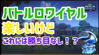 バトロワしてる人にしかわからないレルムロイヤル