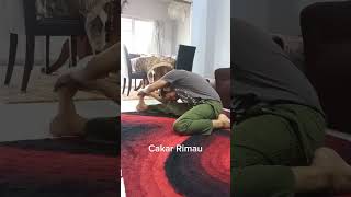 Download lagu Senaman Harimau @ Kegel Exercise mp3 Download lagu Senaman Harimau @ Kegel Exercise mp3