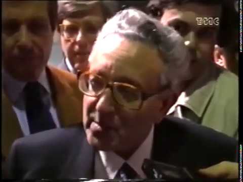 Pino Rauti elected secretary of the MSI - January 1990