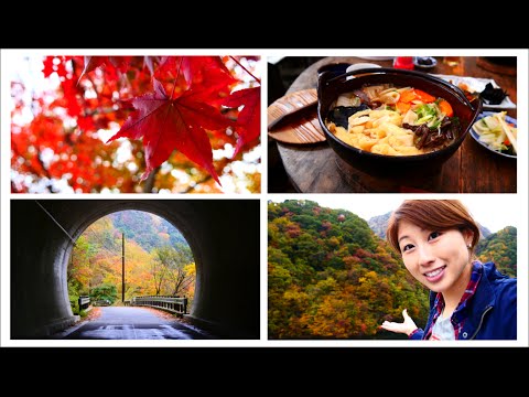 日本的秋天有多美呢？一起來看看吧！　 (Autumn in Japan! What it's like and what's so great about it :))