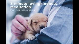 3-minute lovingkindness meditation (adapted from the Metta Sutta)