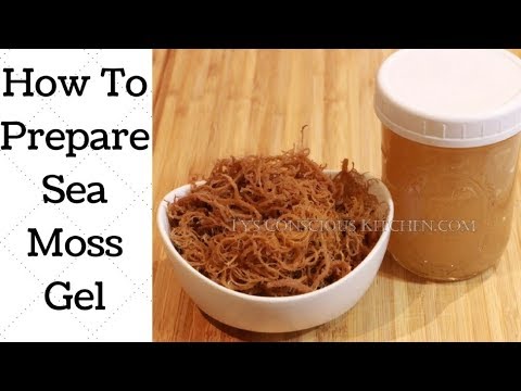 How To Make Irish Sea Moss Gel Video