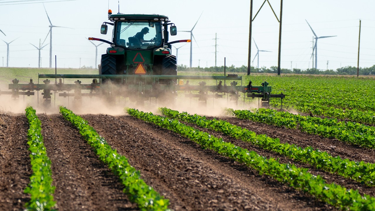 Save 75% In Hand Labor Costs With Finger Weeders - Texas Farmer Explains How
