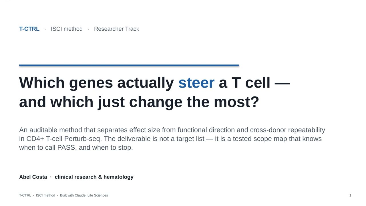 T-CTRL project preview