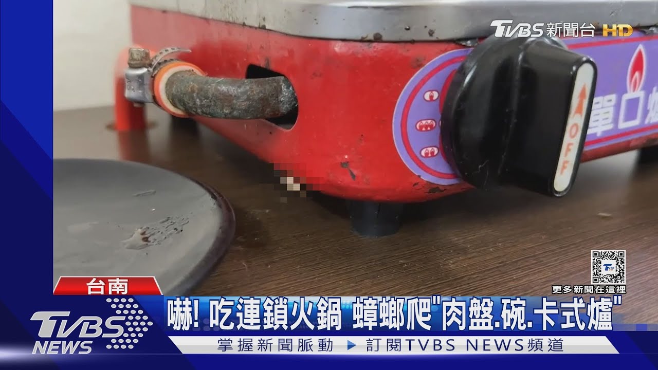 嚇!吃連鎖火鍋 蟑螂爬「肉盤、碗、卡式爐」