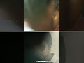 Master Movie Vijay Anna Running Scene