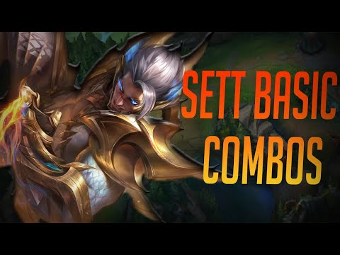 Smartest2 - Basic Sett Combos