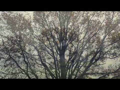 KARL STURM`S MUELLERBEAT - AN ATTEMPT (MAYBE IT´S CHRISTMAS...)