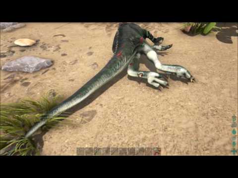 Taming velociraptors