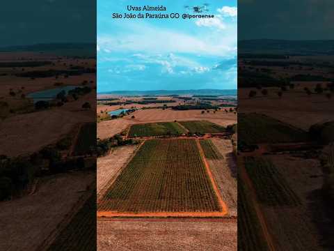SAO JOÃO DA PARAÚNA GOIÁS, PROJETO VISÃO AÉREA - PARREIRAIS EM PLENO CERRADO GOIANO.