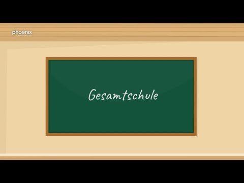 Gymnasien abschaffen - pro und contra | Politik in zwei Minuten