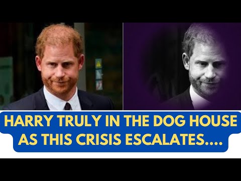 HARRY FINDS OUT ITS A DOG'S LIFE AS CRISIS BUILDS LATEST #princeharrry #meghan #meghanmarkle