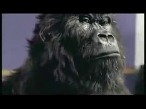 90秒間、チョコレートが一切映らない / CADBURY「GORILLA」