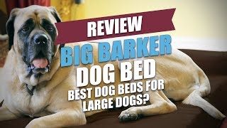 Big Barker Dog Bed Review: Are These the Best Dog Beds for L