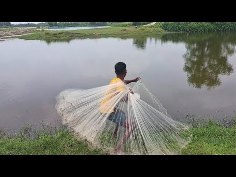 Fishing Net Video - Traditional Cast Net Fishing in River - Best Fishing Net Village River Video 