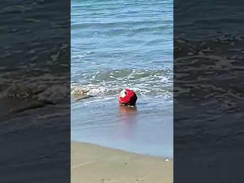 Tolú sucre Beautiful .