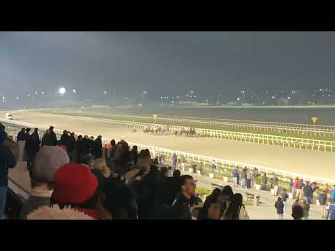 Bar Arocena - Campeones Sprint