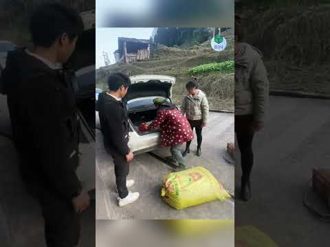 Giúp đỡ người khác nhưng không được trân trọng và cái kết