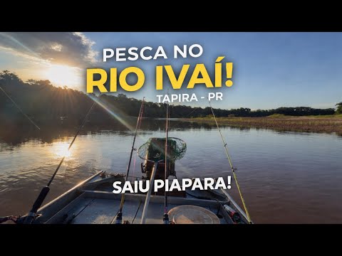 PESCA NO RIO IVAI EM TAPIRA-PR 🎣E não é que saiu PIAPARA🔥