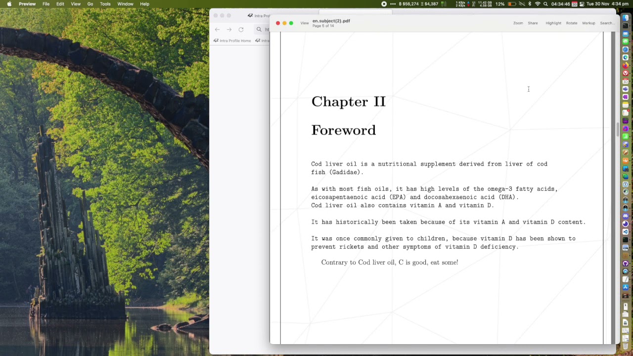Getting Started with C at 42