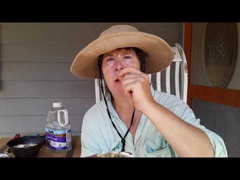 download lagu mp3 mp4 Orange Passion Fruit Edible, download lagu Orange Passion Fruit Edible gratis, unduh video klip Orange Passion Fruit Edible