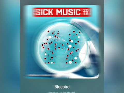 Makoto & Hugh Hardie