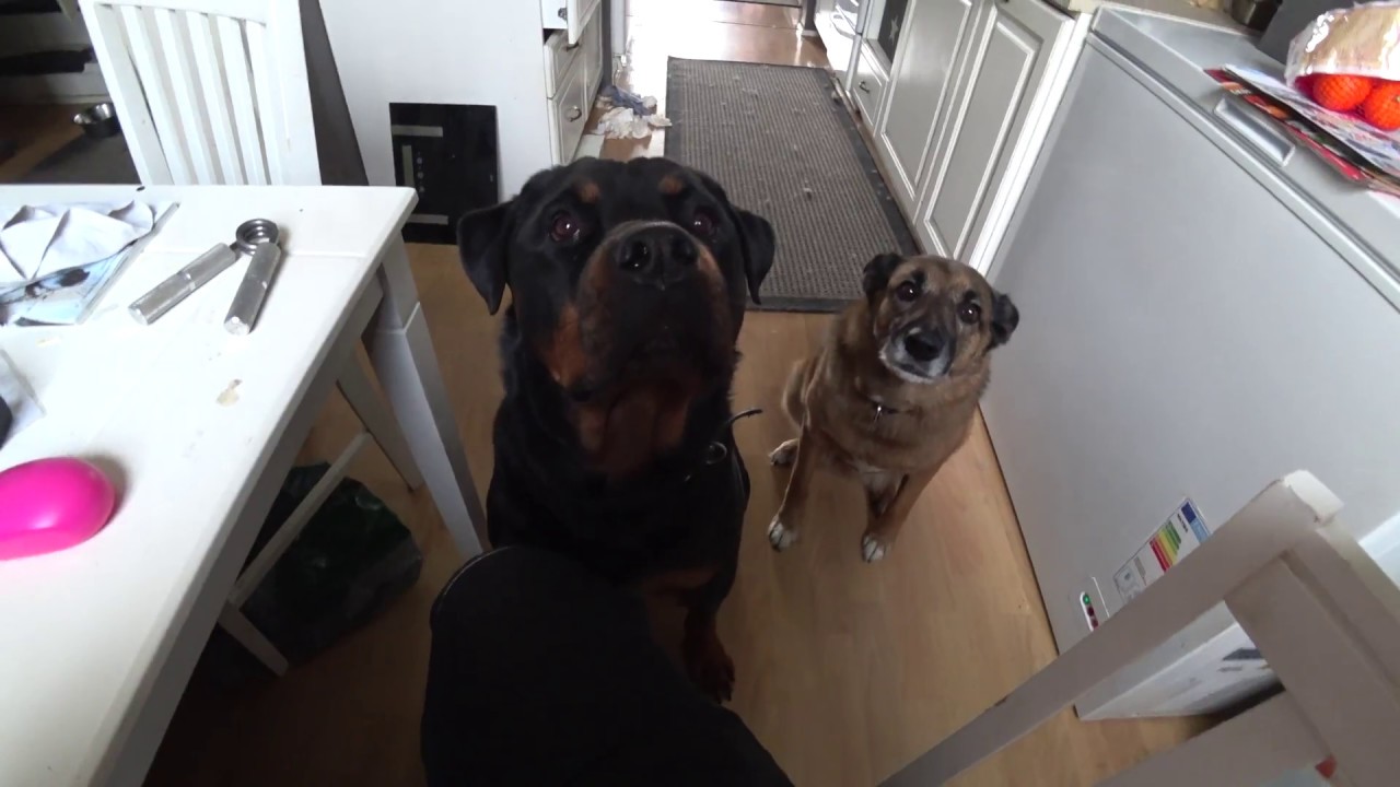 YouTube video preview