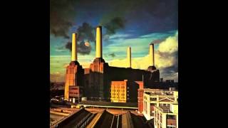Pink Floyd - You've Got to Be Crazy [HD]
