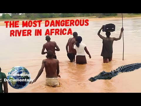 Inside the Limpopo River's Deadly Dangers