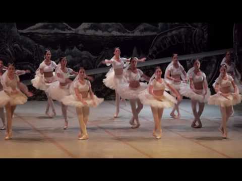 The Cuban Method: Trailer