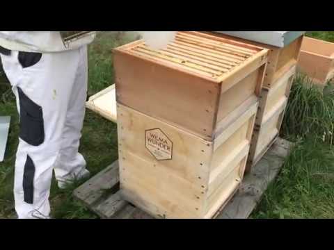 Teilen und Behandeln