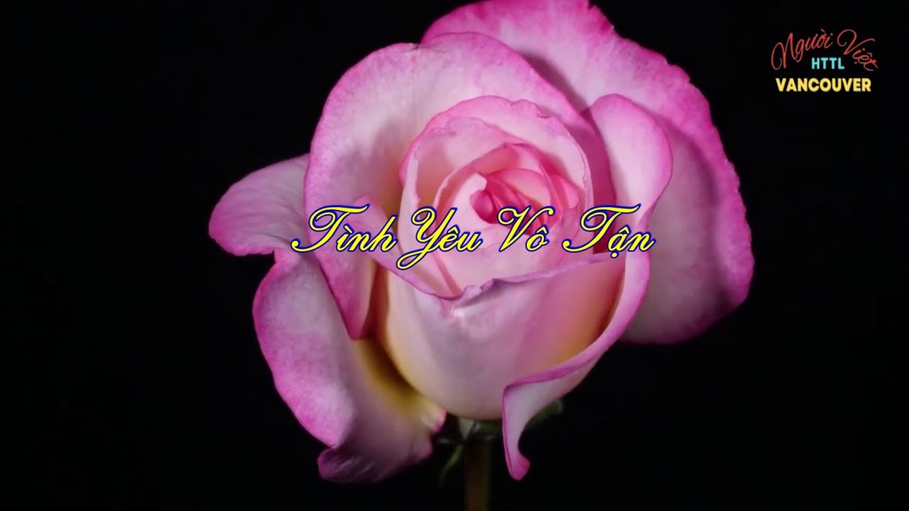 Tình Yêu Vô Tận (Sing Along)