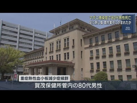 YouTube Video マダニにかまれて感染か 重症熱性血小板減少症候群にかかり賀茂保健所管内の80代の男性が死亡