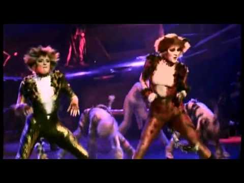 Cats - The Musical