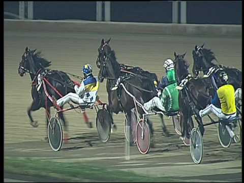 Trotto 11/12/2016 - 8ª corsa - TRIS