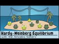 Hardy-Weinberg Equilibrium
