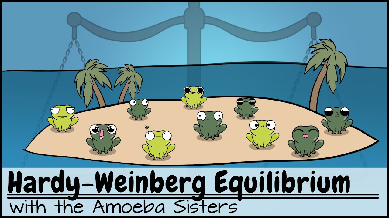 Hardy-Weinberg Equilibrium