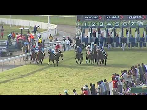 RM36 R8 - Seven Carat