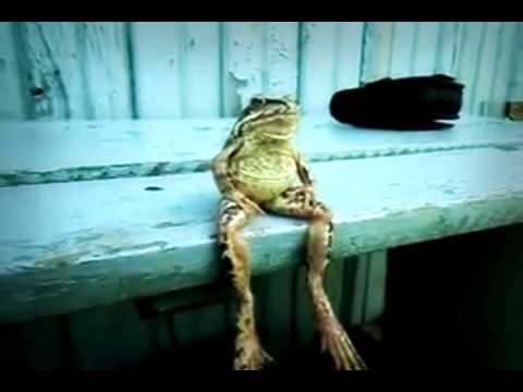 Like we sittin' on the bench, nigga we don't really play