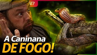 Miniatura do vídeo
