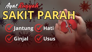 Download lagu AYAT RUQYAH UNTUK PENYAKIT PARAH, JANTUNG, GINJAL, HATI DAN GANGGUAN JIN LAINNYA | AYAT RUQYAH KERAS mp3