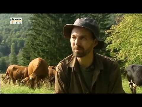 Der Grenzgänger Der Harzer Grenzweg Doku