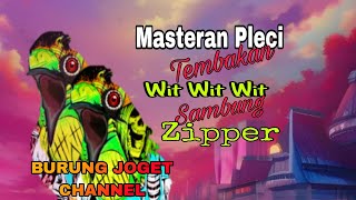 Download lagu Masteran Pleci Malam Hari Tembakan Wit Wit Sambung Zipper mp3 Download lagu Masteran Pleci Malam Hari Tembakan Wit Wit Sambung Zipper mp3