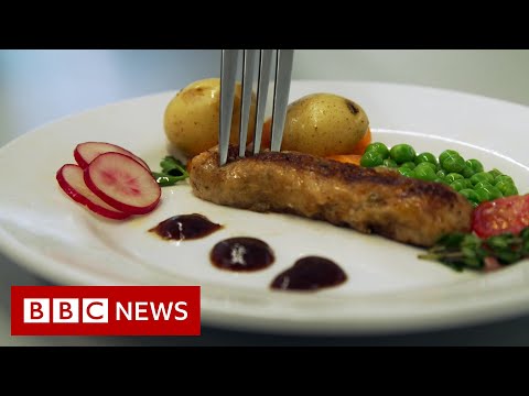 Would You Eat Lab Grown Sausages?