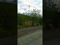 Работаю на севере #видео #tiktok #вахта #север #чукотка #топчик #Билибино #на Колыме #shorts #top