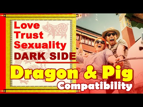 Dragon and Pig Compatibility in Love, Life, Trust, Intimacy | Dragon and Pig Chinese Compatibility