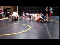 GAME Sharks Minnows 3